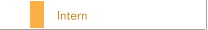 Intern
